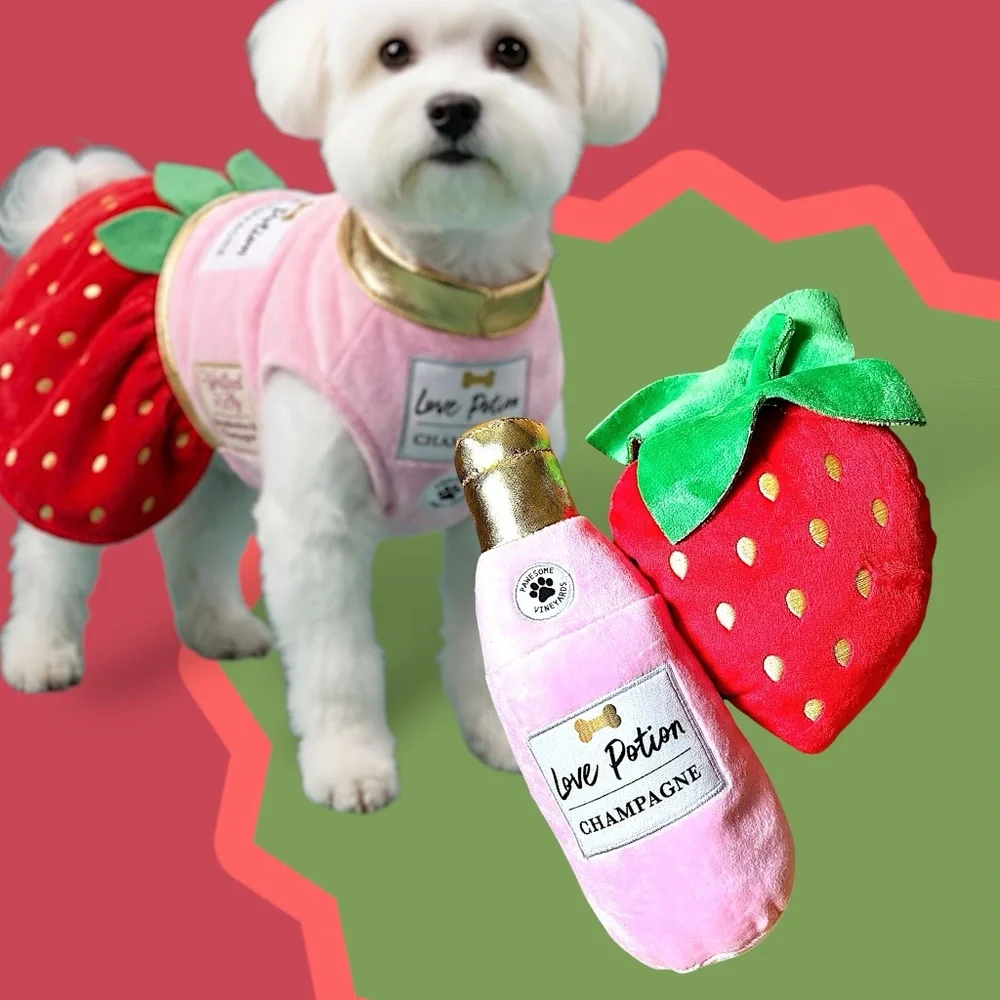 Winifred & Lily Love Potion Champagne Strawberry Plush Squeaker Pet Dog Toy